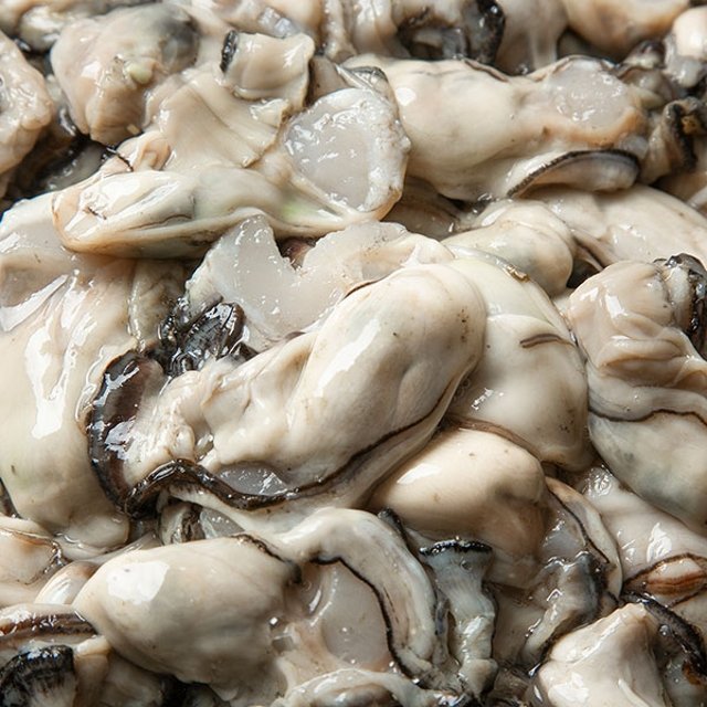 통영 생굴 제철 세척 싱싱한 깐굴 1kg 4팩