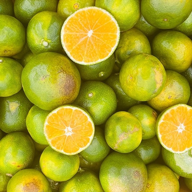 국내산 가정용 감귤 10kg 사이즈랜덤