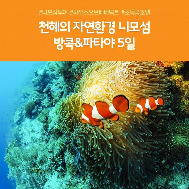 [노랑풍선] 방콕/파타야 5일 (199,000원 부터~ ?! 200불 상당 해택까지! )