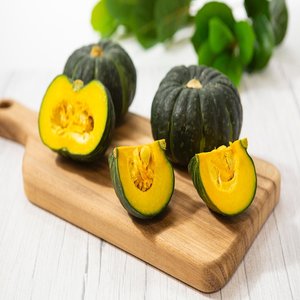 제주 미니 보우짱 단호박 밤호박 로얄 2kg