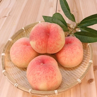달콤한 제철 털복숭아 1.5kg 7-8과 내외
