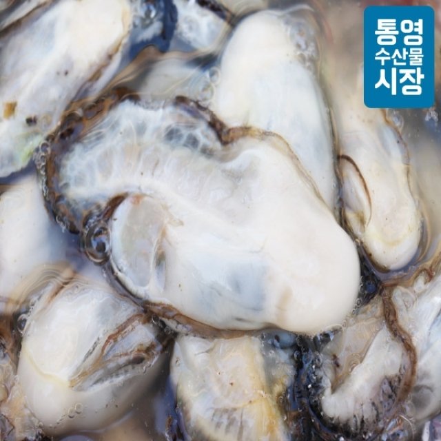 [통영수산물시장] 당일조업 통영 생굴 2kg 손질굴 생굴