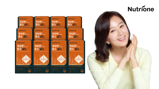 [50％세일] 뉴트리원 카무트효소 골드 12박스