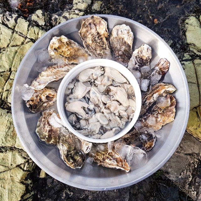 제철 통영 깐 생굴 1kg x 70미내외