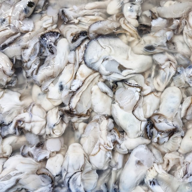 제철 통영 깐 생굴 1kg x 70미내외