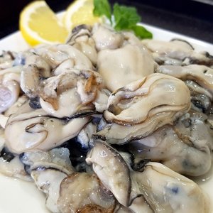 제철 통영 깐 생굴 1kg x 70미내외