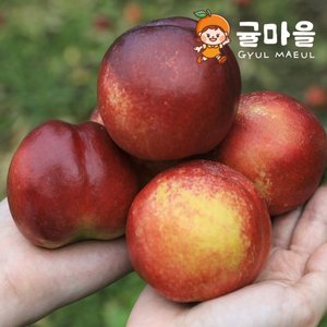 귤마을 국내산 천도복숭아 2kg 중소과