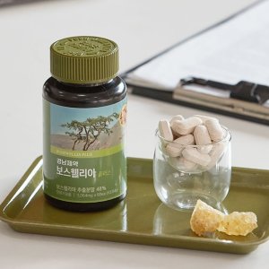 반값세일! 경남제약 보스웰리아 10개월