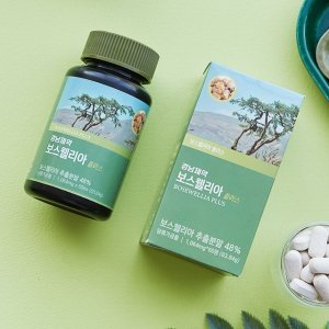 반값세일! 경남제약 보스웰리아 10개월