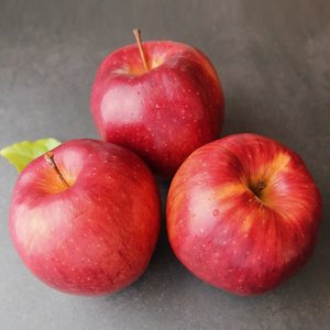 [산지직송] 가정용 홍로사과 4.5kg (22-28과)