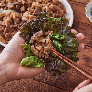 고급진 기사식당 돼지불백 500g X 8팩