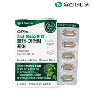 [유한메디카] 징코 플러스 엔 탑 혈행 기억력 케어 60정x1개(2개월)