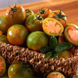 2026 햇 부산대저토마토 2kg x 1박스 (과당 S~M) / 2세트 구매시 1kg 추가증정으로 총 5kg 배송