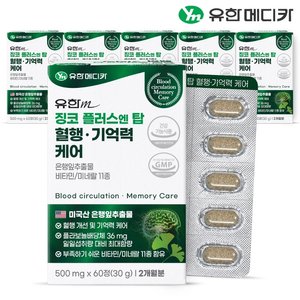 [유한메디카] 징코 플러스 엔 탑 혈행 기억력 케어 60정x6개(12개월)