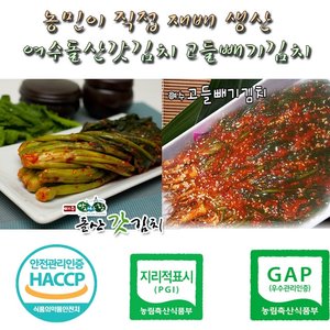 [별미김치] 알싸한 여수돌산 갓김치 3kg + 3kg + 고들빼기 1kg (총 7kg)
