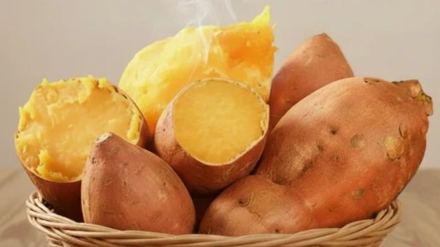 해남 호박고구마 10kg (대)