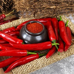 26년 해남 황토방 햇고춧가루 양념용 보통맛 500g
