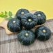 포슬포슬 미니 밤호박 4kg (6-12개입)