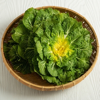 [산해직송] 제철 봄동 배추 2kg