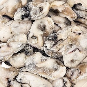 [해동찬가] 국내산 통영 냉동 굴 1kg