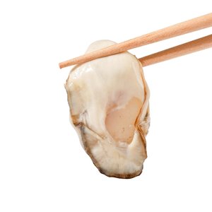 [해동찬가] 국내산 통영 냉동 굴 1kg