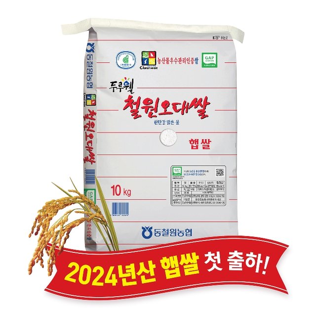 동철원농협 철원오대쌀 상등급 10kg (24년산)