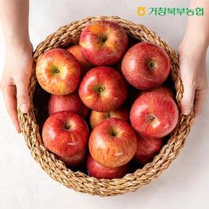 [특등급] 거창북부농협 햇 부사 4kg (215~250g / 16~19과)