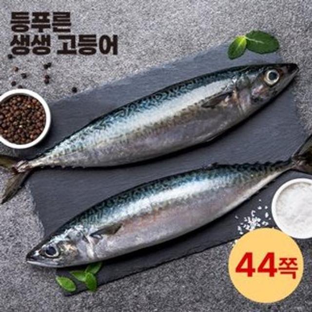 국내산 손질 고등어 44쪽