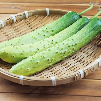 [농담] 국내산 다다기 백오이 3kg 특품