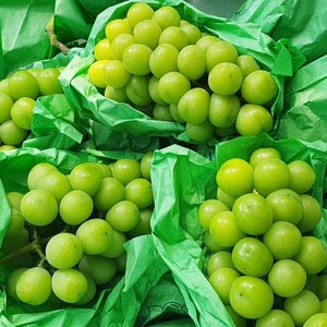산지직송 제철 18beix 초고당도 샤인머스켓  2kg x 3-6수 내외