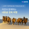 [슈퍼트래블] 투어비스 내몽골 5일 (대한항공+NO선택관광+호화게르)