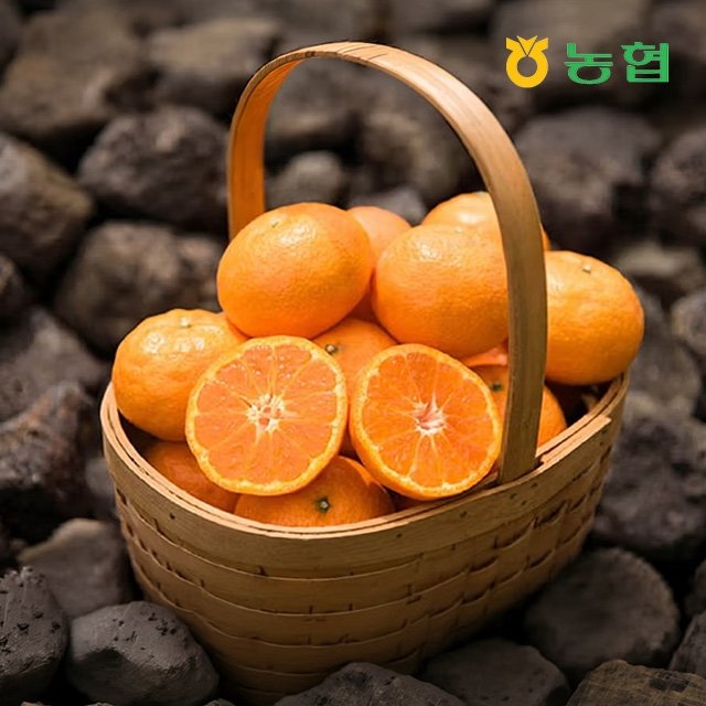 [제주농협] 귤로장생 제주 카라향 4kg (90~200g / 20~45과)