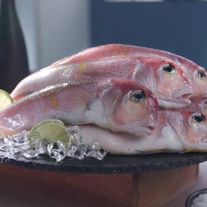 [쇼핑엔티 단독방송!] 김하진의 제주특산물 옥돔 130g × 8마리 / 총 1.04kg