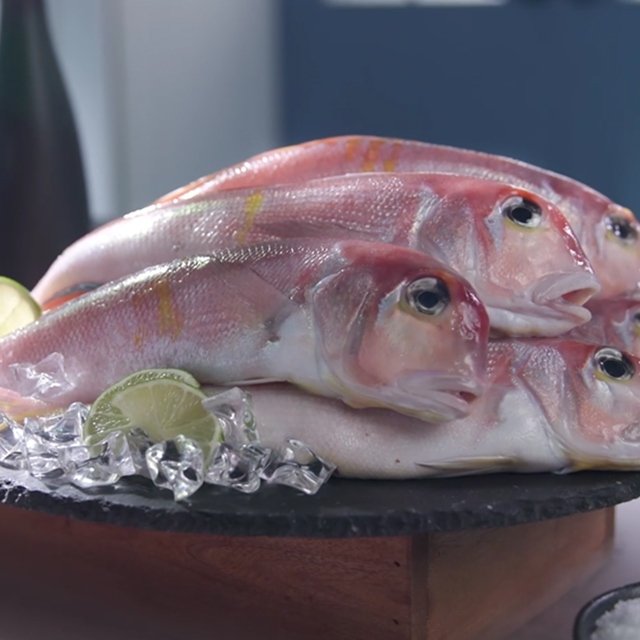 [김하진 추천!!] 제주특산물 옥돔 130g × 9마리 / 총 1.17kg