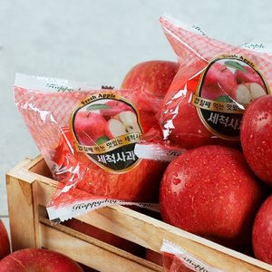 [오늘아침사과] 오늘아침 세척사과 5kg 28과