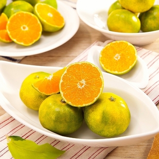 제주 3대농가 극조생 감귤 대과(L이상) 10kg(실중량 9kg)