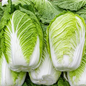 국내산 통배추 2통(5kg 내외)