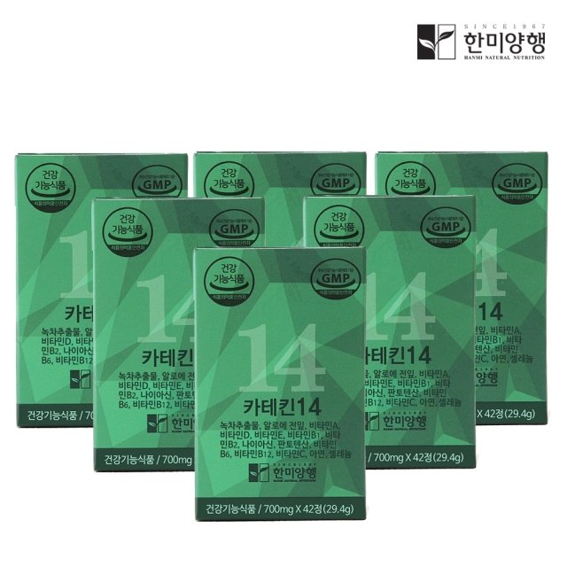 한미양행 카테킨 14 녹차 추출물 다이어트 보조제 700mg 6박스 + 쇼핑백