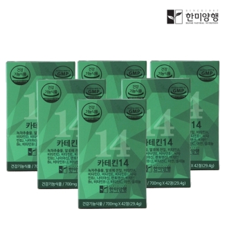 한미양행 카테킨 14 녹차 추출물 다이어트 보조제 700mg 6박스 + 쇼핑백