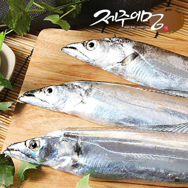 [제주어멍] 제주 은갈치 160g x 5마리(15토막)