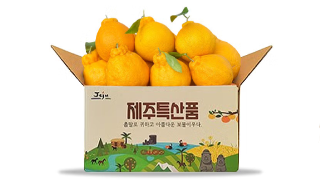 [작심밀도]제주직송 노지 한라봉 혼합과 3kg