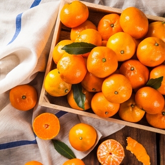 귤마을 제주 감귤 9kg 대과 특대과