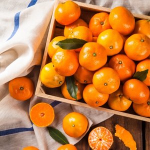 귤마을 제주 감귤 9kg 대과 특대과