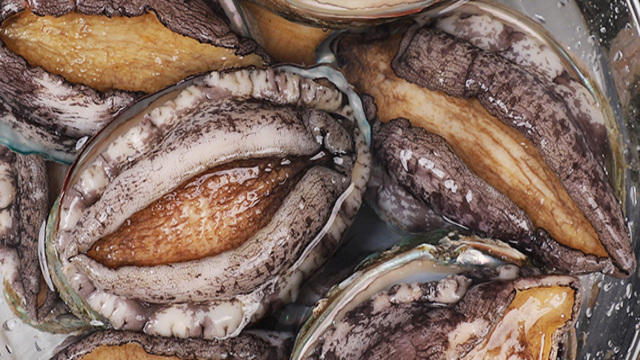 [산지직송]특대 완도 활전복 1kg(12-13미) 산소포장