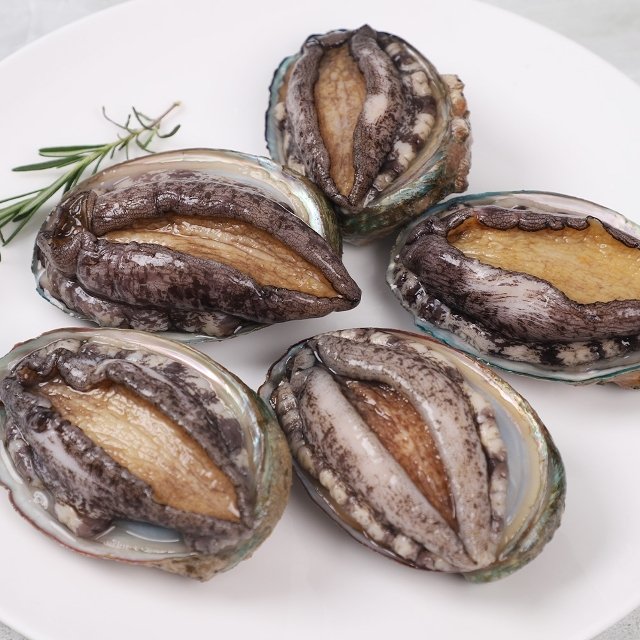 [산지직송]왕특대 완도 활전복 1kg(8-9미) 산소포장