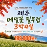 [JS투어] 가을감성 제주여행 4일(파격 기획가! 199,000원부터!?)