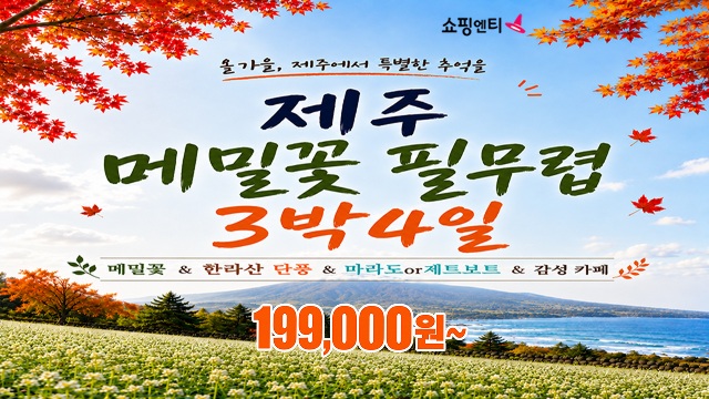 [JS투어] 가을감성 제주여행 4일(파격 기획가! 199,000원부터!?)