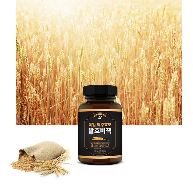 독일 맥주효모 발효비책 180정x1병 