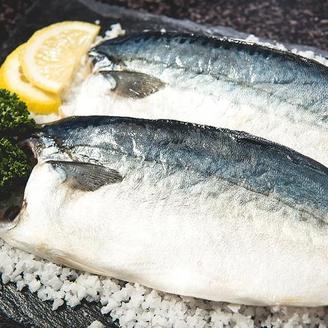 [안동맛자반] 특大 순살간고등어 120g x 24팩