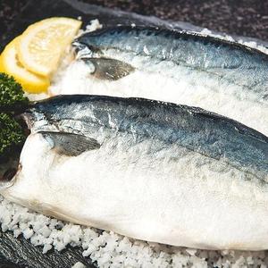 [안동맛자반] 특大 순살간고등어 120g x 24팩